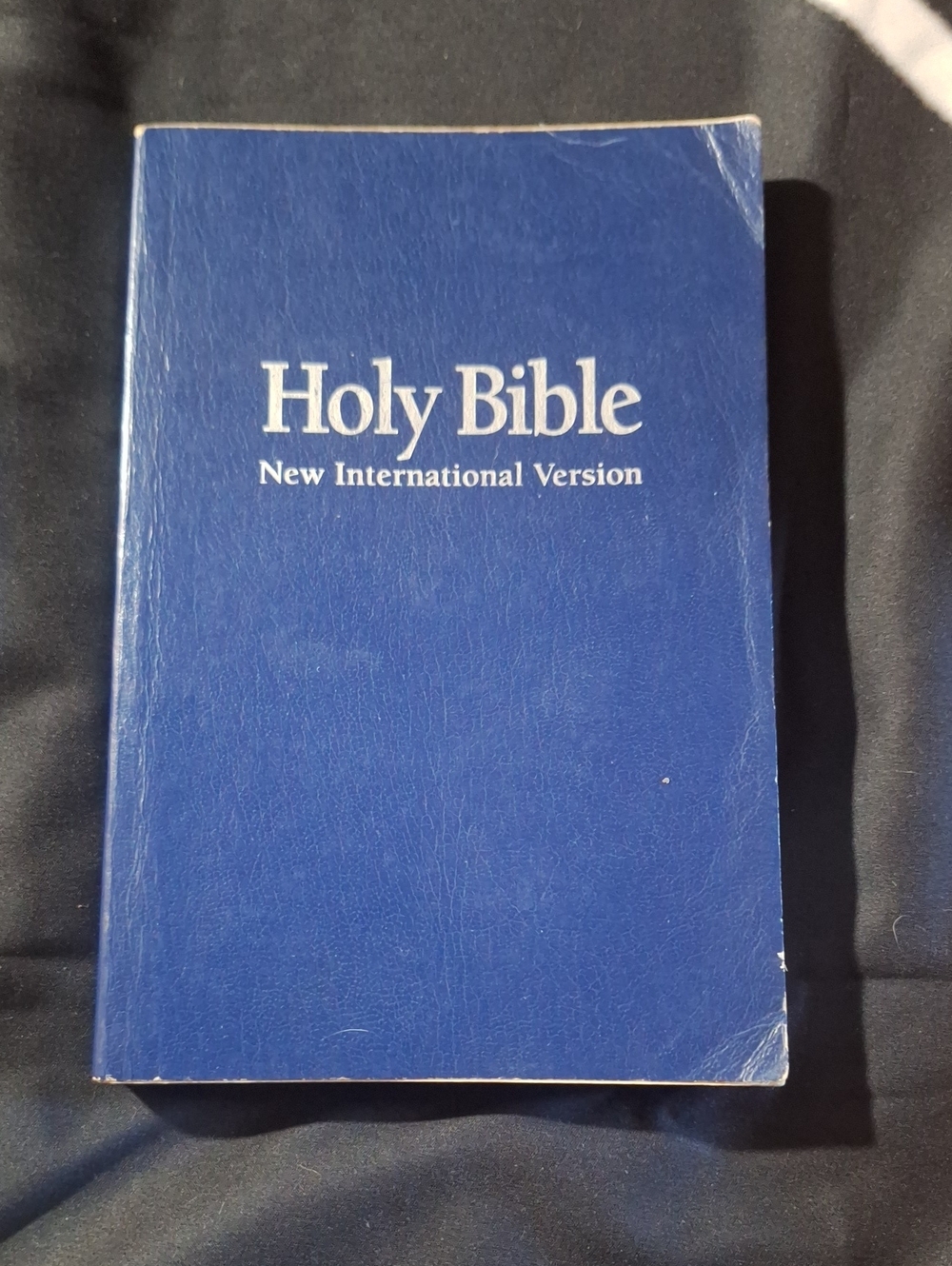 New International Version Holy Bible - Blue